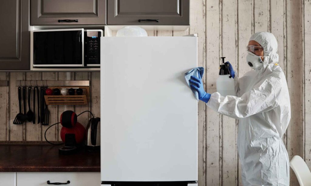 Sterlization-Cleaning